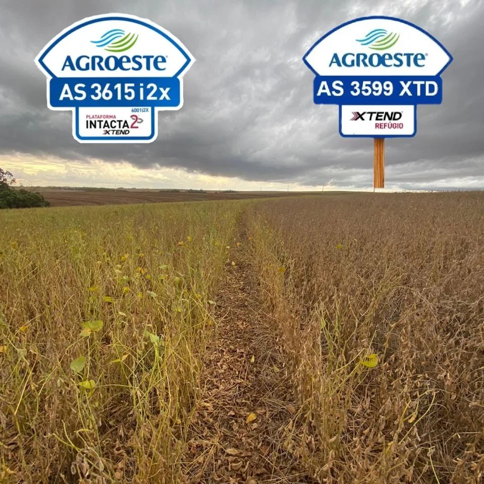 Agroeste AS3615i2X