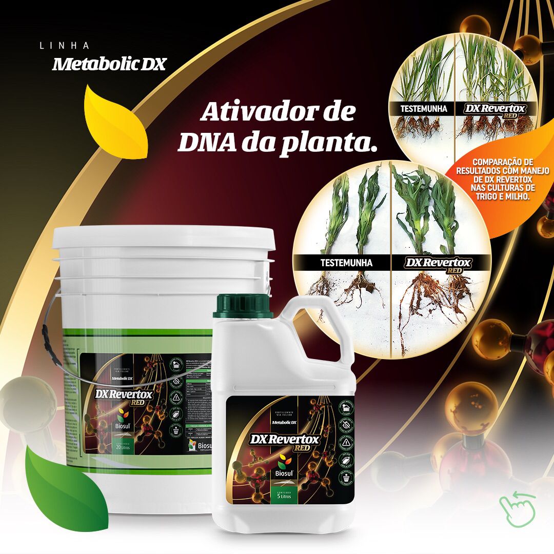 ATIVADOR de DNA da planta