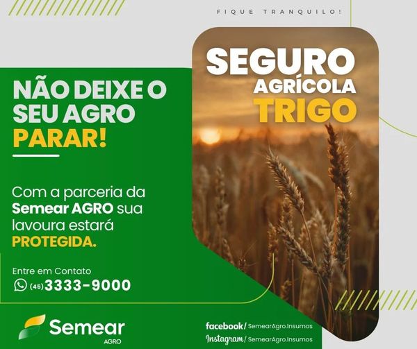 SEGURO DO TRIGO